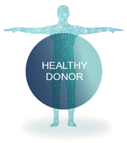 Healthy donor